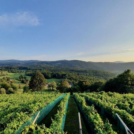 Vineyard Cottage Kulovec Ursna Sela Luaran gambar