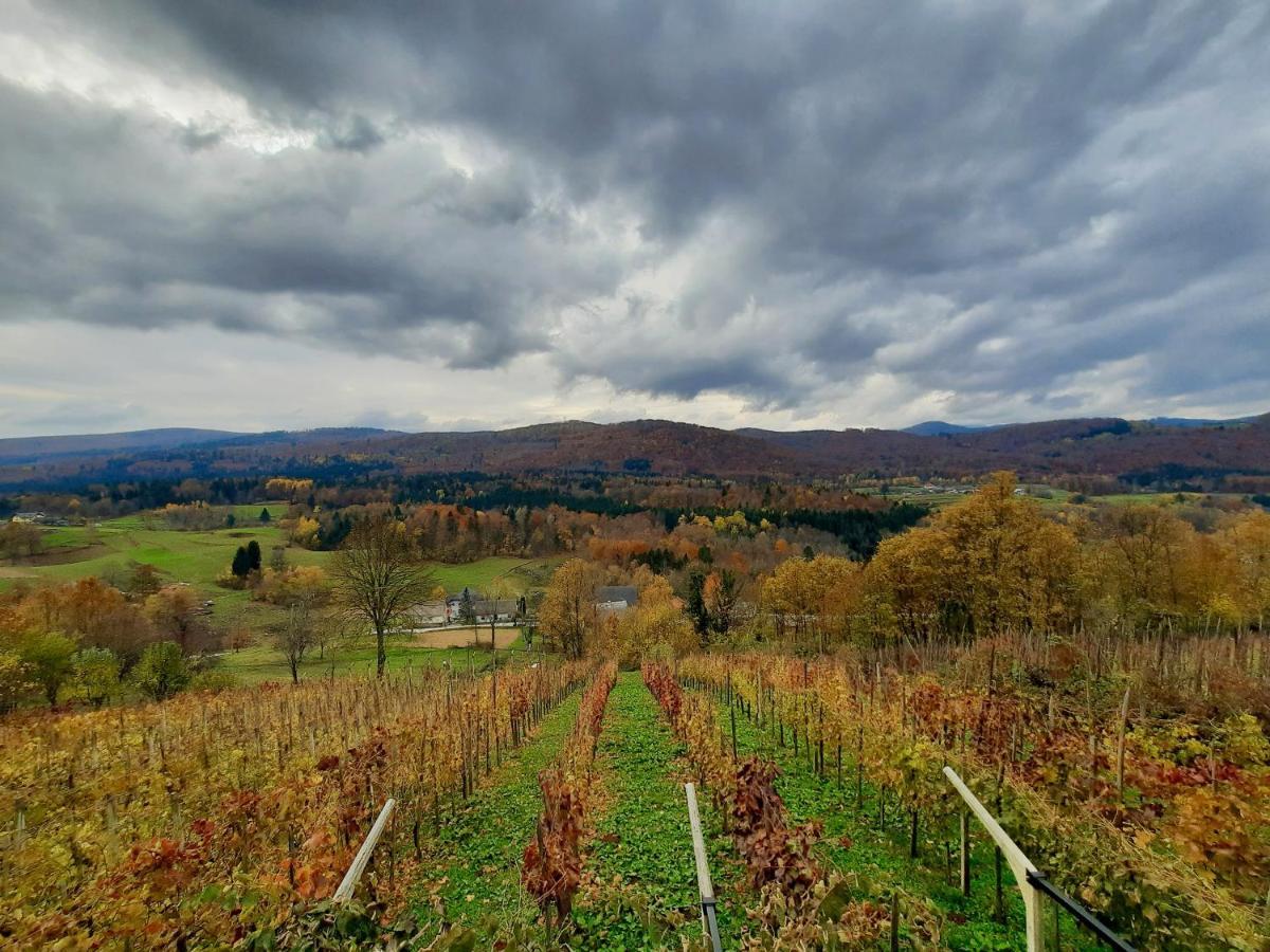Vineyard Cottage Kulovec Ursna Sela Luaran gambar