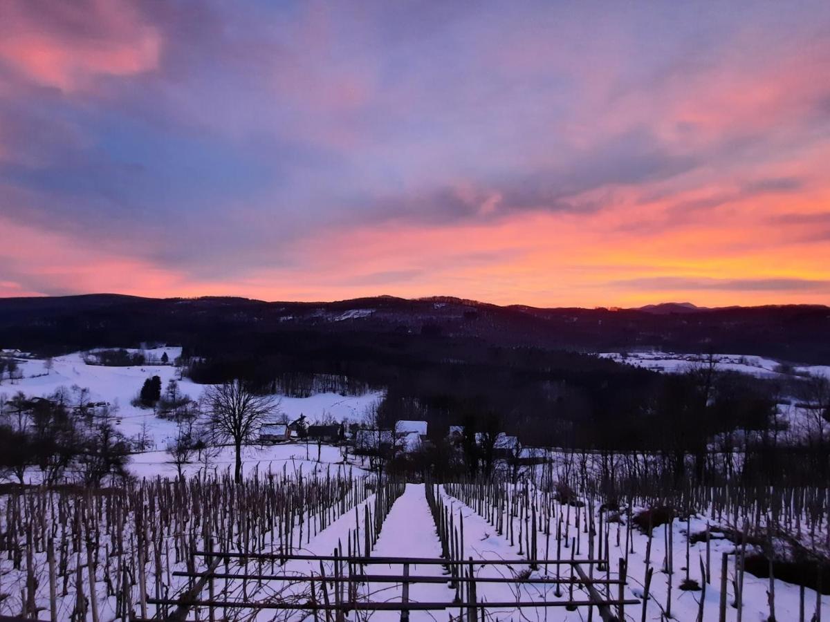 Vineyard Cottage Kulovec Ursna Sela Luaran gambar