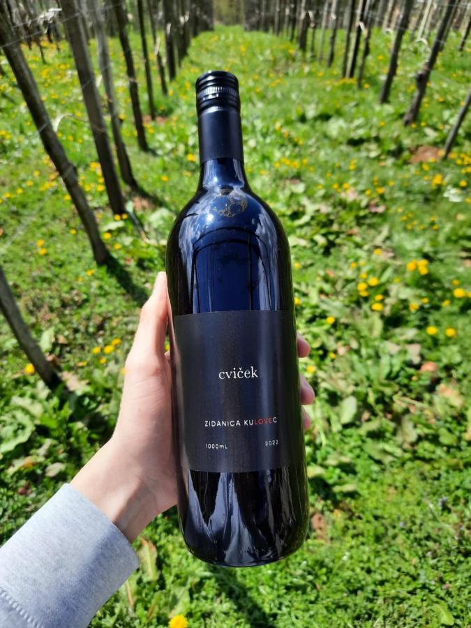 Vineyard Cottage Kulovec Ursna Sela Luaran gambar